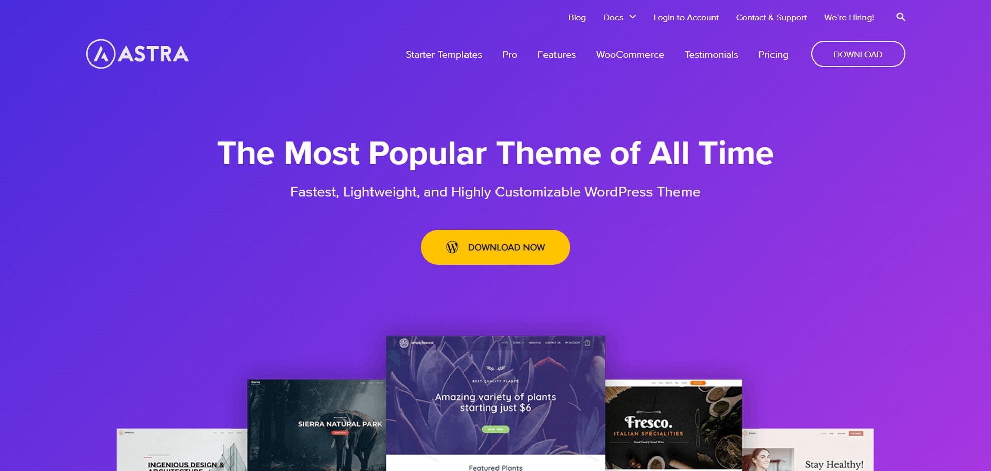 Astra multipurpose WordPress theme