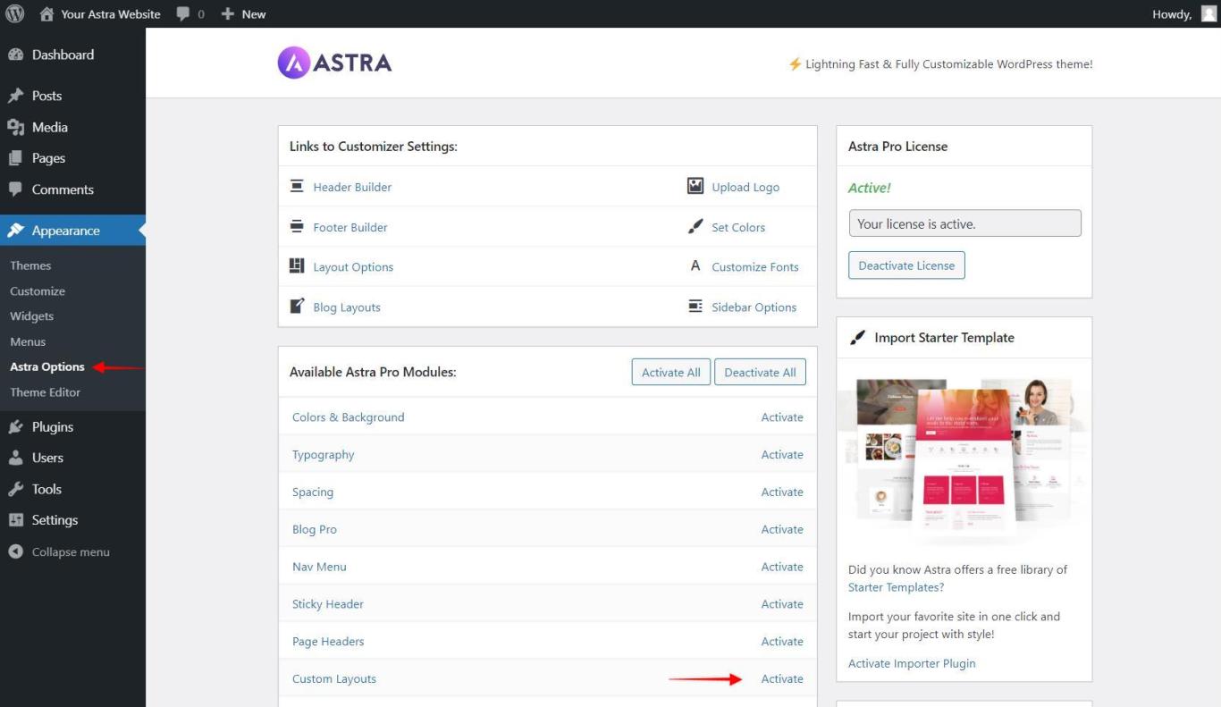 Astra Custom Layouts Activation