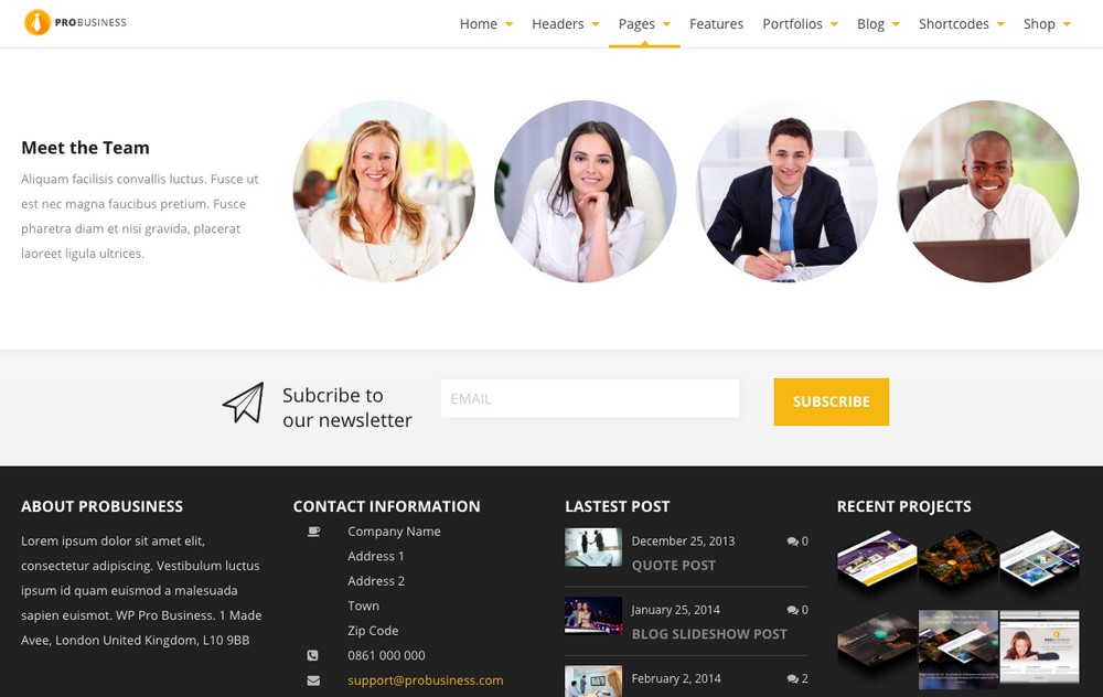 Pro business WordPress theme