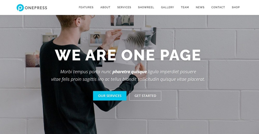 OnePress WordPress theme