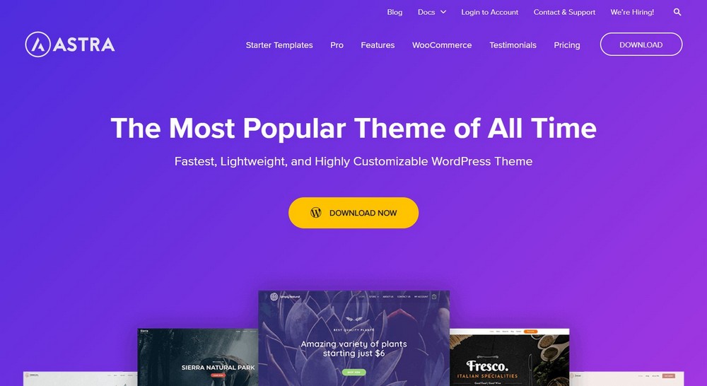 Astra multipurpose WordPress theme