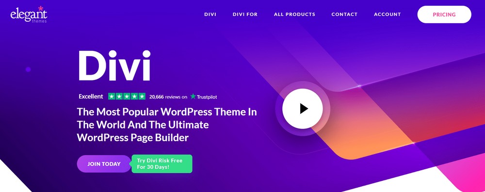 Divi WordPress theme 