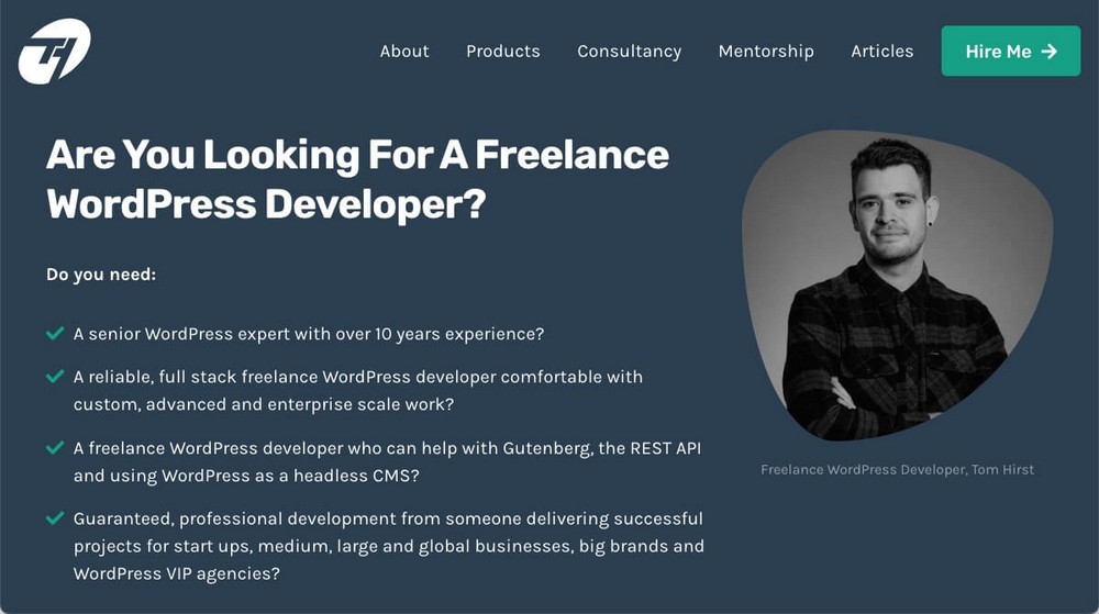 WordPress developer