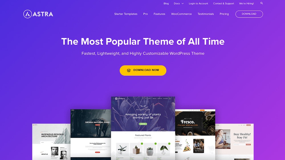 Astra WordPress Theme